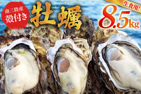 【期間限定発送】 牡蠣 南三陸志津川産 殻付き牡蠣 8.5kg 50個前後 [南三陸牡蠣倶楽部 宮城県 南三陸町 30ao0003]