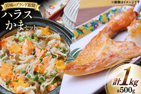 鮭 銀鮭 ハラス かま セット 各500g 計 1kg [南三陸さんさんマルシェ 宮城県 南三陸町 30ai0053]