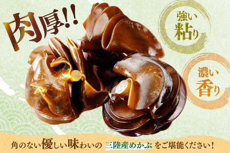 海藻 とんとん めかぶ 湯通し ぎばさ 各1本 セット [南三陸さんさんマルシェ 宮城県 南三陸町 m304amh600080]