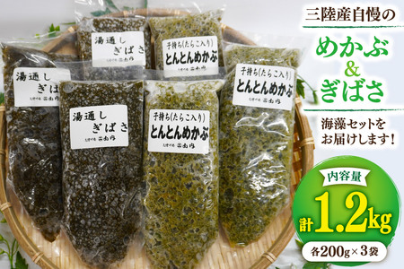 海藻 とんとん めかぶ 湯通し ぎばさ 各3本 セット [南三陸さんさんマルシェ 宮城県 南三陸町 m304amh600079]