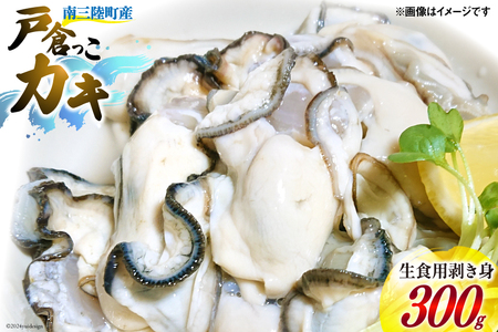 【期間限定発送】牡蠣 生食 南三陸町産 戸倉っこカキ 300g [宮城県漁業協同組合志津川支所 宮城県 南三陸町 30an0001] 生カキ 生食用 剥き身 かき カキ 生ガキ むき身 むき