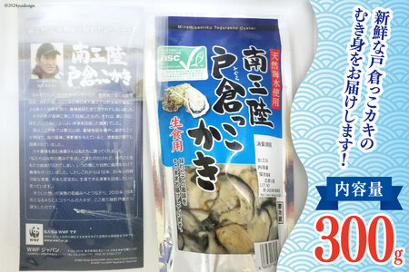 【期間限定発送】牡蠣 生食 南三陸町産 戸倉っこカキ 300g [宮城県漁業協同組合志津川支所 宮城県 南三陸町 30an0001] 生カキ 生食用 剥き身 かき カキ 生ガキ むき身 むき