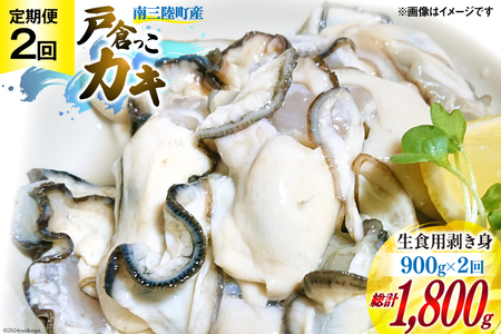 【期間限定発送】 2回 定期便 牡蠣 生食 南三陸町産 戸倉っこカキ 300g×3本 計900g [宮城県漁業協同組合志津川支所 宮城県 南三陸町 30an0004]