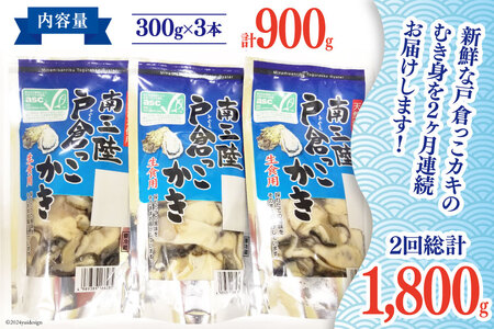【期間限定発送】 2回 定期便 牡蠣 生食 南三陸町産 戸倉っこカキ 300g×3本 計900g [宮城県漁業協同組合志津川支所 宮城県 南三陸町 30an0004]