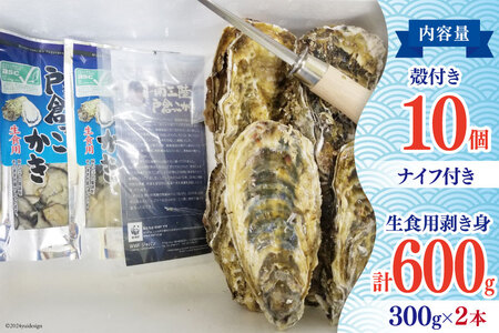 【期間限定発送】牡蠣 生食 南三陸町産 戸倉っこカキ 300g×2本 計600g 殻付き牡蠣 10個 [宮城県漁業協同組合志津川支所 宮城県 南三陸町 30an0003] 生カキ 生食用 剥き身 かき カキ 生ガキ むき身 むき 殻付