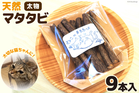 マタタビ 大切な猫ちゃんに！ 天然マタタビ 太物9本入り [佐久 宮城県 南三陸町 30ar0003]
