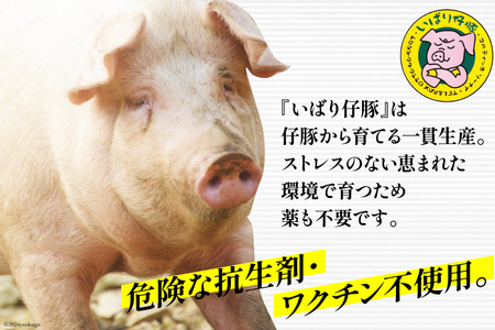 シェフもおすすめ「日本で一番おいしい豚肉！」★いばり仔豚★ソーセージ＆ベーコン＆ハム4種詰め合わせコース