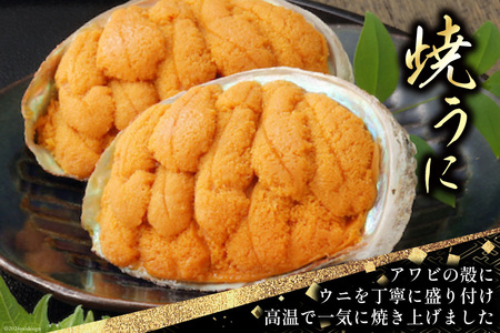 海鮮 詰め合わせ 歌津小太郎 磯の宝 ＜プレミアム＞ あわび煮貝 塩うに いくら醤油漬 焼うに [橋本水産食品 宮城県 南三陸町 30ah0005]