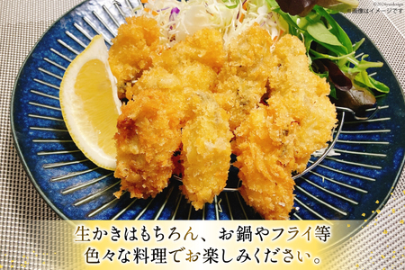 【期間限定発送】 宮城県産 むき牡蠣 生食用 500g×2p 計1kg [及新 宮城県 南三陸町 30aw0005] かき カキ 牡蠣 生牡蠣 貝 魚介類 剥き身 むき身 殻なし 冷蔵 新鮮 なべ カキフライ 牡蠣ご飯 濃厚