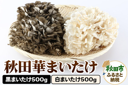 秋田華まいたけ 生まいたけセット 黒まいたけ 約500g 白まいたけ 約500g 舞茸