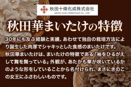 秋田華まいたけ 生まいたけセット 黒まいたけ 約500g 白まいたけ 約500g 舞茸