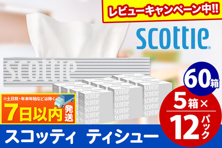 スコッティ ティッシュペーパー 200組 60箱(5箱×12パック) ティッシュ ティッシュー ボックスティッシュ