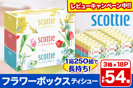 ティッシュペーパー スコッティ フラワーボックス250組 54箱(3箱×18パック)  レビューキャンペーン中 日用品 7日以内発送