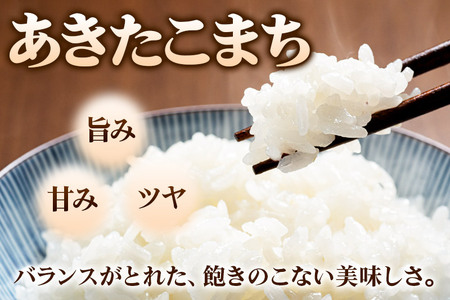 米 あきたこまち 5kg 令和7年産 新米 白米 田口商店 農家直送 秋田県産