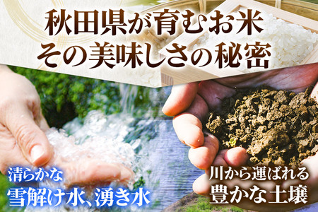 米 あきたこまち 10kg 令和7年産 新米 白米 田口商店 農家直送 秋田県産