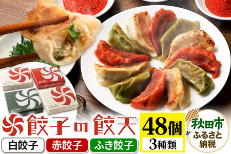 餃天の3種餃子 48個詰合せ 餃子の餃天 (白餃子 赤餃子 ふき餃子) 化学調味料無添加