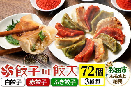 餃天の3種餃子 72個詰合せ 餃子の餃天 (白餃子 赤餃子 ふき餃子) 化学調味料無添加 12,320円