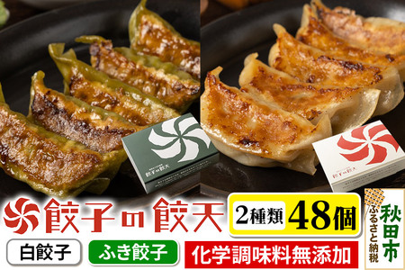 至福の白餃子・新緑のふき餃子 48個詰合せ 餃子の餃天 化学調味料無添加