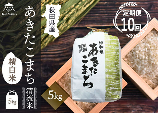 《定期便10ヶ月》あきたこまち 清流米 5kg【白米】 秋田市雄和産 [秋田県産 あきたこまち お米 精米 定期便 5kg 5キロ]
