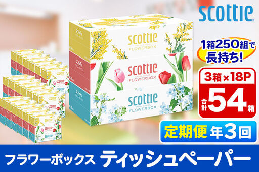 《4ヶ月ごとに3回お届け》定期便 ティッシュペーパー スコッティ フラワーボックス250組 54箱(3箱×18パック) 9,940円