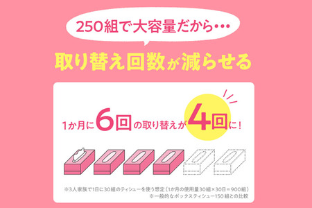 《6ヶ月ごとに2回お届け》定期便 ティッシュペーパー スコッティ フラワーボックス250組 60箱(5箱×12パック) ティッシュ  最短翌日発送