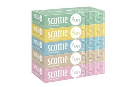 《3ヶ月ごとに4回お届け》定期便 ティッシュペーパー スコッティ ティシュー ファン 150組 5箱×2パック 秋田市オリジナル