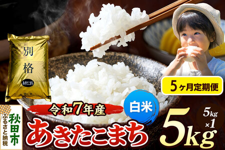 《令和7年産》《定期便5ヶ月》 米 あきたこまち 5kg 【白米】 秋田県産