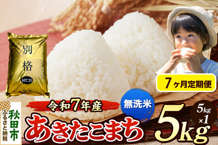 《令和7年産》《定期便7ヶ月》 米 あきたこまち 5kg 【無洗米】 秋田県産