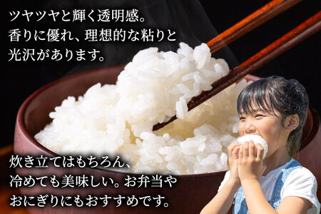 米《定期便3ヶ月》あきたこまち【白米】 米どころ秋田県産 令和7年産 精米 20kg（5kg×4袋）
