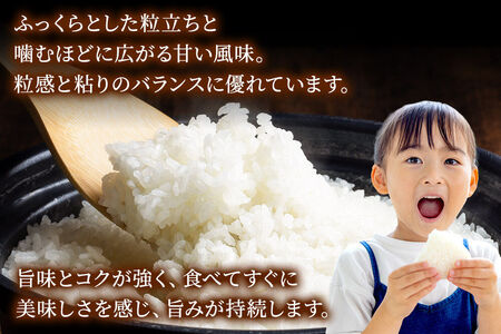 米《定期便2ヶ月》サキホコレ【無洗米】 米どころ秋田県産 令和7年産 精米 30kg（5kg×6袋）