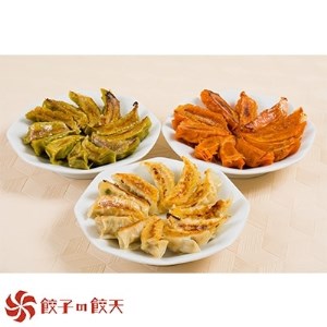 餃子の餃天3種餃子48個詰合せ【1124876】