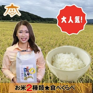 限定でセール価格とします ふるさと納税 秋田市 2023年3月発送開始 ...