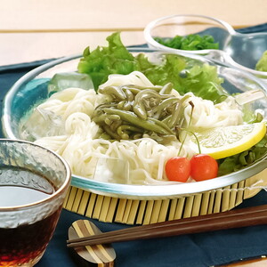 能代うどん 乾麺 140g×10束 新能代うどん ”しらかみ美人” 麺類 細平打ち ツルツル なめらか コシ 和食