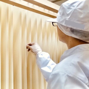 能代うどん 乾麺 140g×10束 新能代うどん ”しらかみ美人” 麺類 細平打ち ツルツル なめらか コシ 和食