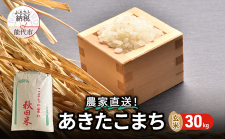 秋田県産 あきたこまち 30kg 令和7年産  玄米 [ ご飯 ブランド米 おにぎり 本場 お米 産地直送 おこめ ごはん 秋田県 秋田 能代市 ] 