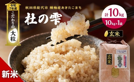 令和6年度産　秋田米　あきたこまち　玄米　20kg あきたこまち 令和5年産 玄米20kg