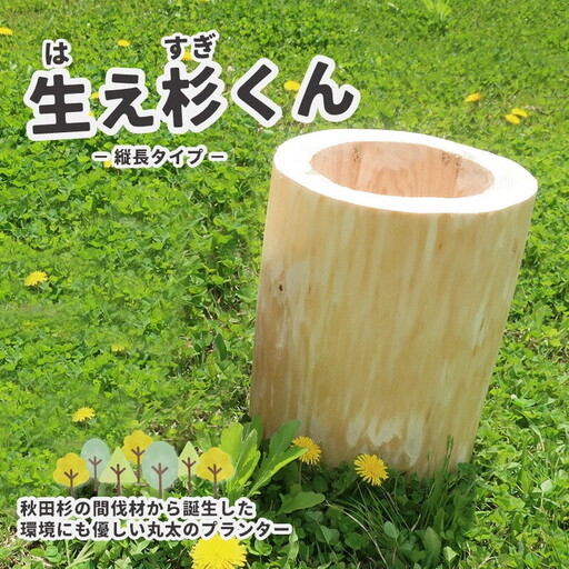 里山くらし応援 木工品 秋田杉の丸太プランター「生え杉くん（はえすぎくん）」縦長タイプ 雑貨 日用品 ガーデニング用品 木製プランター 手作り