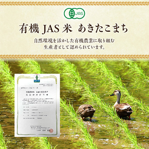 《定期便3ヶ月》【七分米】JAS有機米 きみまちこまち 4kg （2kg×2袋）秋田県産 あきたこまち 令和5年産