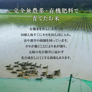 【白米】JAS有機米 きみまちこまち 4kg （2kg×2袋）秋田県産 あきたこまち 令和5年産