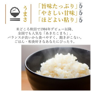 令和7年産 あきたこまち 精米 5kg 秋田県産 お米 米 ごはん ご飯 単一原料米  