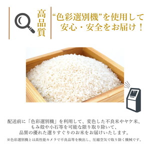令和7年産 ひとめぼれ 精米 10kg（5kg×2袋） 秋田県産 お米 米 ごはん ご飯 単一原料米  