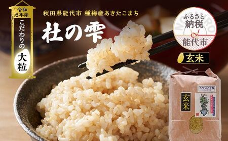 大粒 白米 18kg 私の作った 秋田の あきたこまち 食べてみて 玄米 可