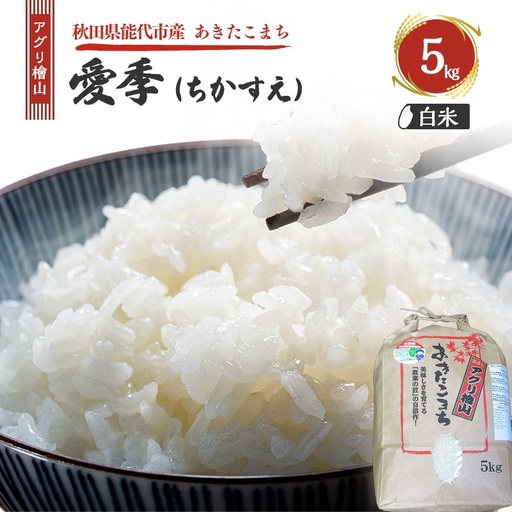 令和7年産 アグリ檜山米 愛季(ちかすえ) 白米 5kg  あきたこまち  精米 お米 おこめ こめ コメ ごはん ご飯 大粒 令和7年  秋田 秋田県 能代市