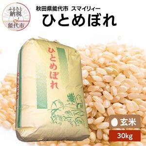 令和7年産 ひとめぼれ 玄米 30kg 秋田県産 お米 米 ごはん ご飯 単一原料米