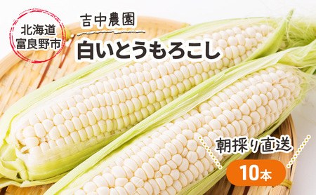 【年3回定期便】【2025年5～8月お届け】北海道 富良野 直送！ 旬の新鮮 夏野菜 厳選 3農家 スペシャルコラボ 定期便 (アスパラガス 赤肉メロン とうもろこし 北海道 富良野市 野菜 果物 フルーツ 甘い 新鮮 益田農園 フラノプレゼンツ 吉中農園)