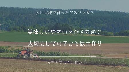 ［武田農園とれたて直送］グリーンアスパラ 2L 2kg やわらかくて抜群にあまい！北海道 富良野産 (アスパラガス アスパラ 野菜 新鮮 産地直送 先行予約 限定)