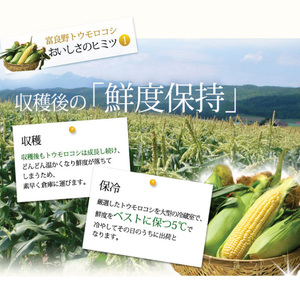 【2026年夏発送】富良野産 生で食べられる とうもろこし【恵味（めぐみ）】 2Lサイズ 5本