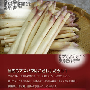 【2026年春発送】訳あり ホワイト アスパラ SMサイズ混合 1kg セット 富良野産 アスパラガス