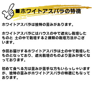 【2026年春発送】訳あり ホワイト アスパラ SMサイズ混合 1kg セット 富良野産 アスパラガス
