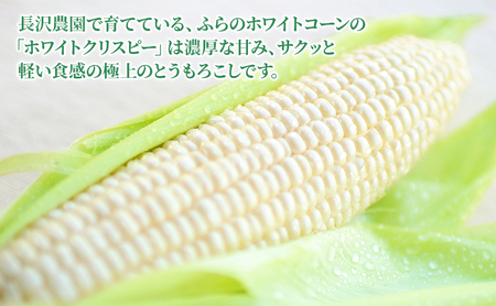 【先行受付 2026年発送】ふらのホワイトコーン 計 4.2kg 以上 (12~14本入) 白 とうもろこし ホワイトクリスピー 野菜 北海道 富良野 ふらの ギフト 長沢農園